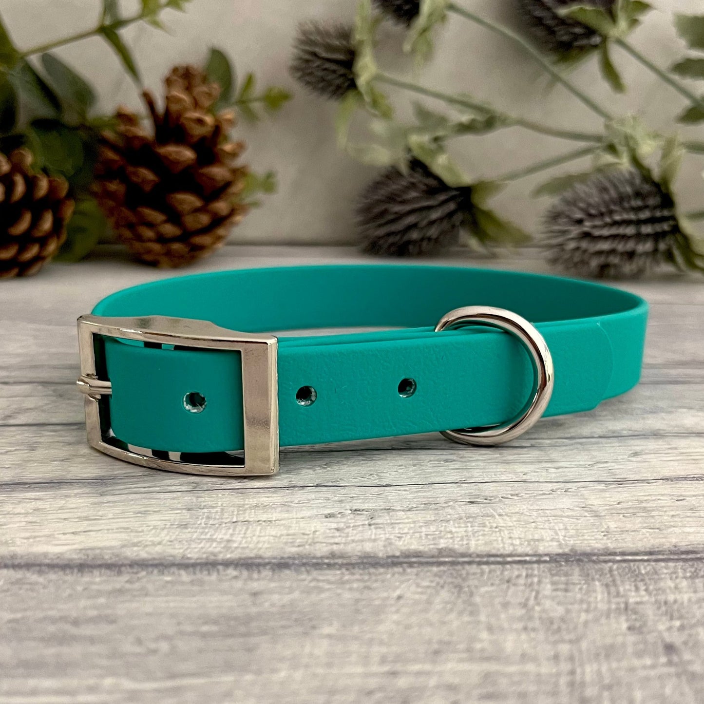 Biothane custom collar in Teal with Silver buckle and a D-ring. The collar has 5 holes which are spaced 2cm apart. Soft leather appearance