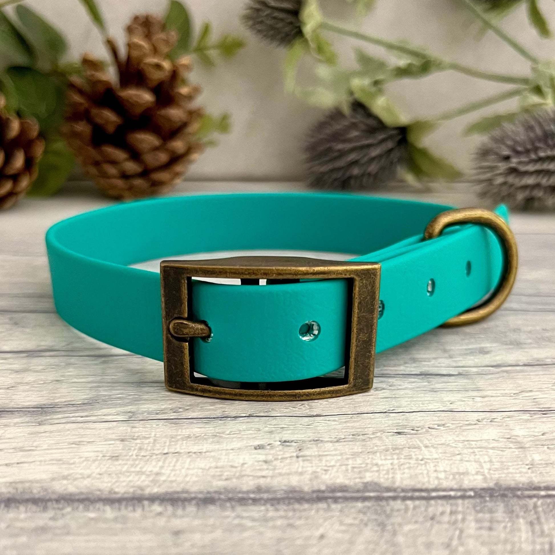 Biothane custom collar in Teal with Antique Brass buckle and a D-ring. The collar has 5 holes which are spaced 2cm apart. Soft leather appearance