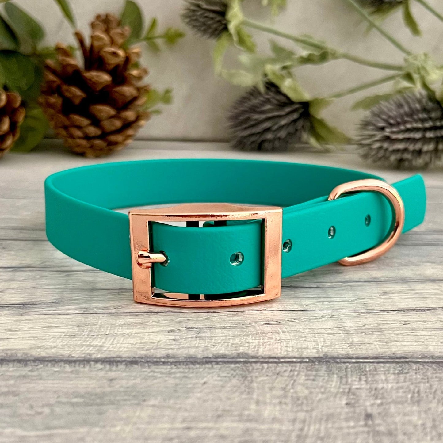 Biothane custom collar in Teal with Black buckle and a D-ring. The collar has 5 holes which are spaced 2cm apart. Soft leather appearance