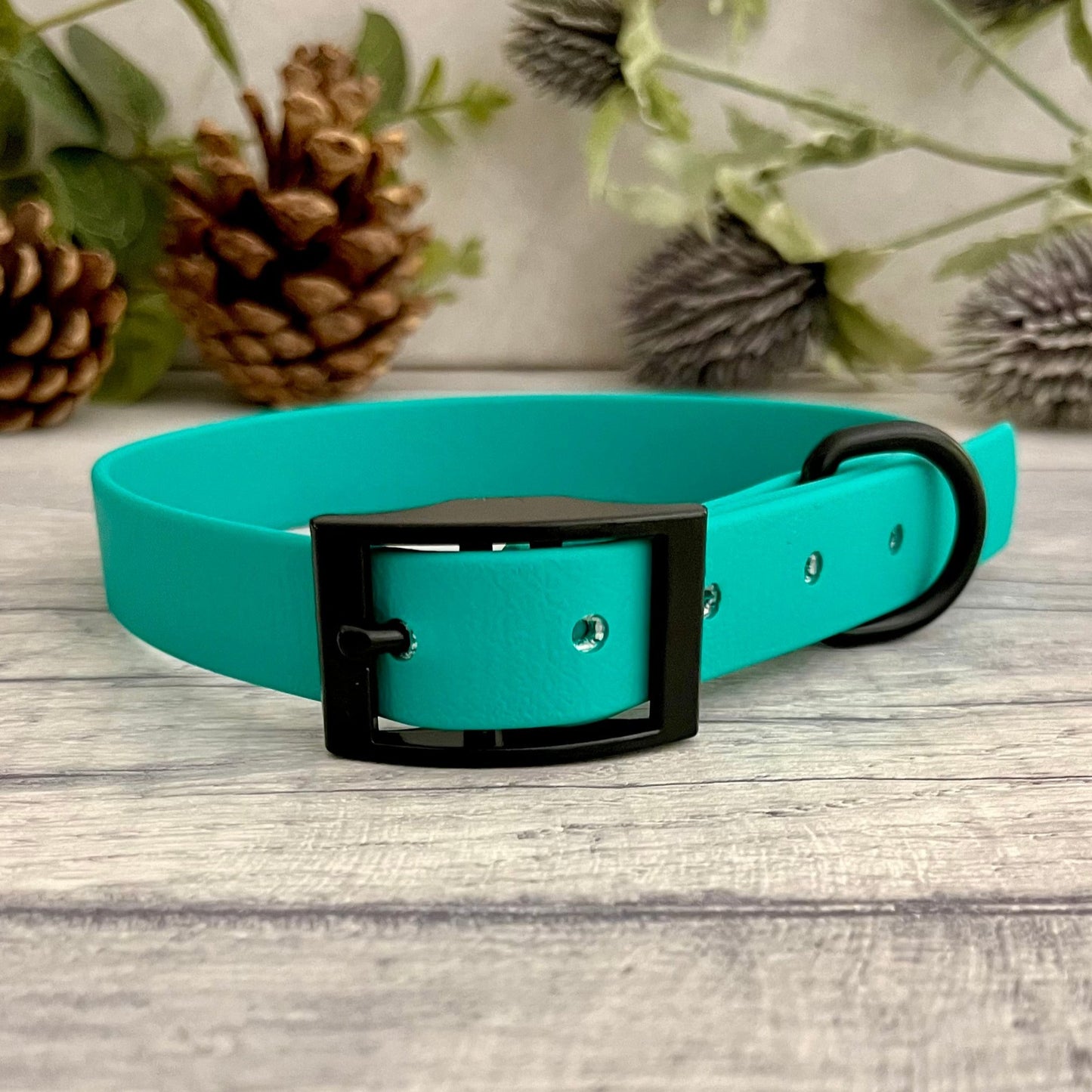 Biothane custom collar in Teal with Black buckle and a D-ring. The collar has 5 holes which are spaced 2cm apart. Soft leather appearance