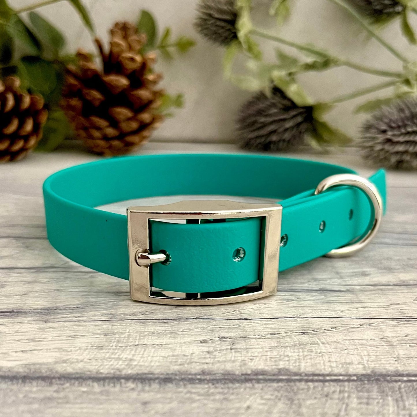 Biothane custom collar in Teal with Silver buckle and a D-ring. The collar has 5 holes which are spaced 2cm apart. Soft leather appearance