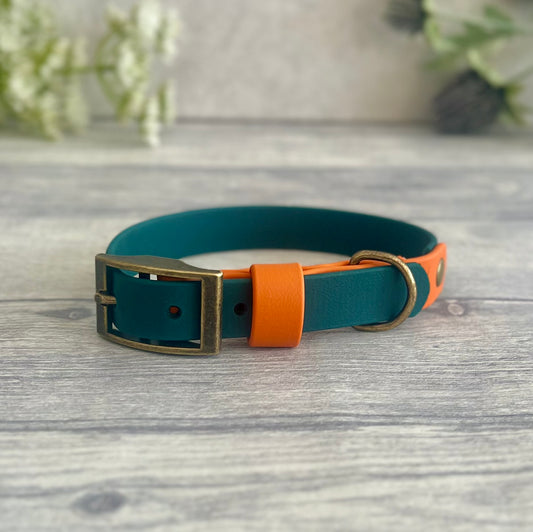 Green & Orange BioThane® Dog Collar