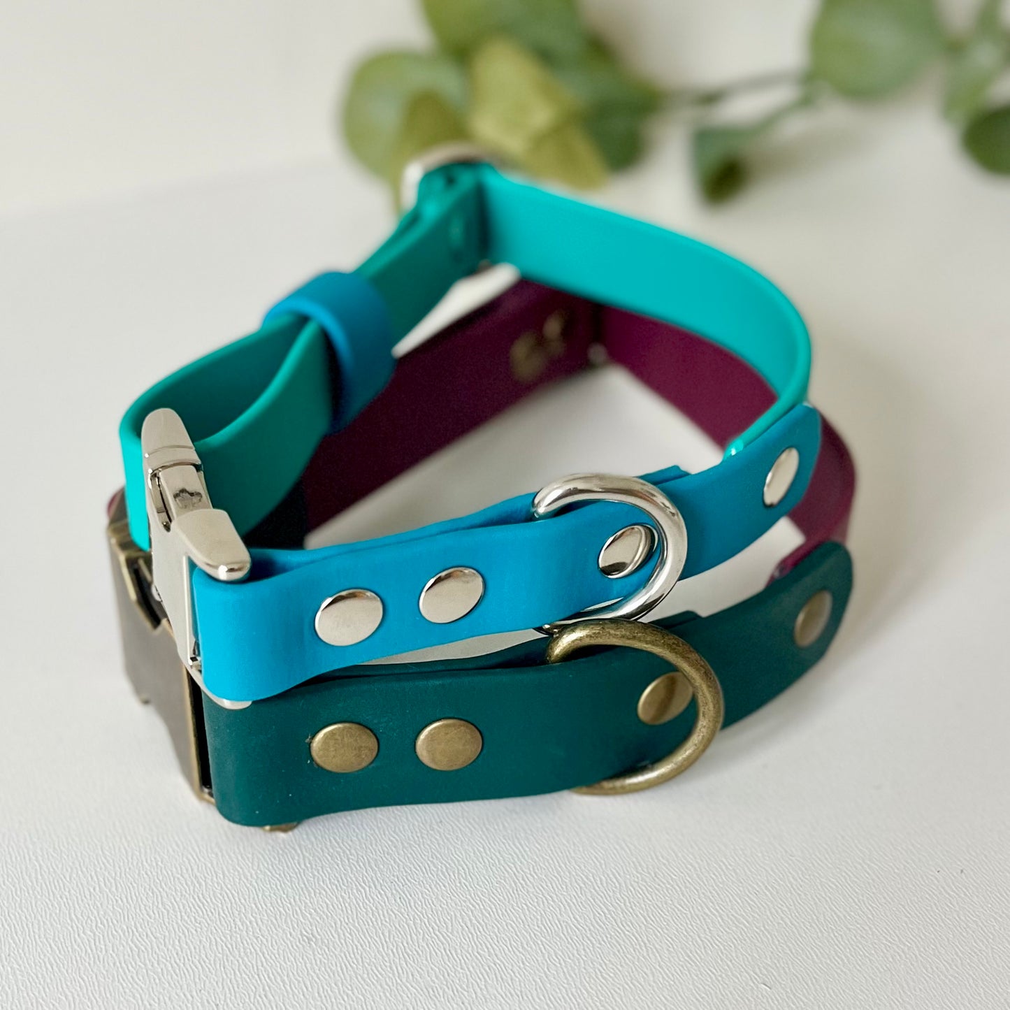 Two side release dog collars with different colours and hardware on a light background