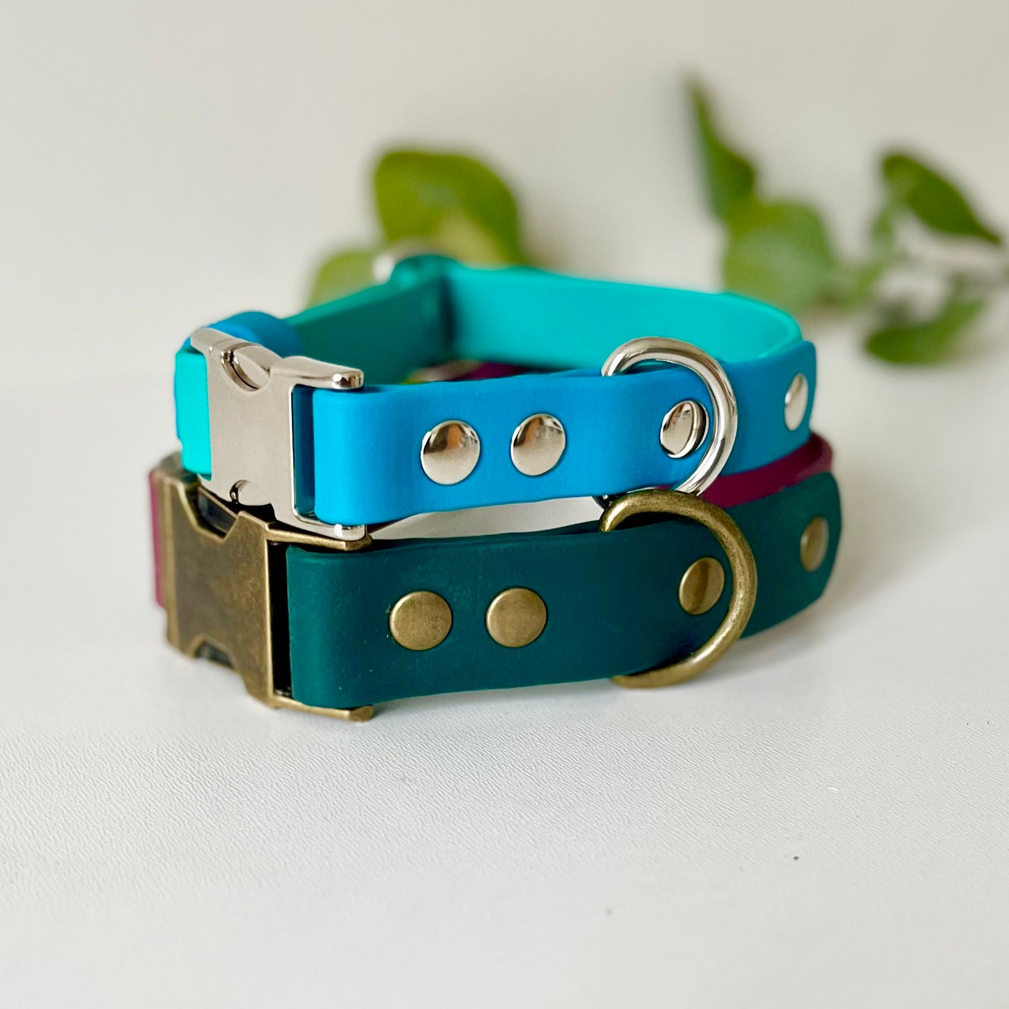 Two side release dog collars with different colours and hardware on a light background