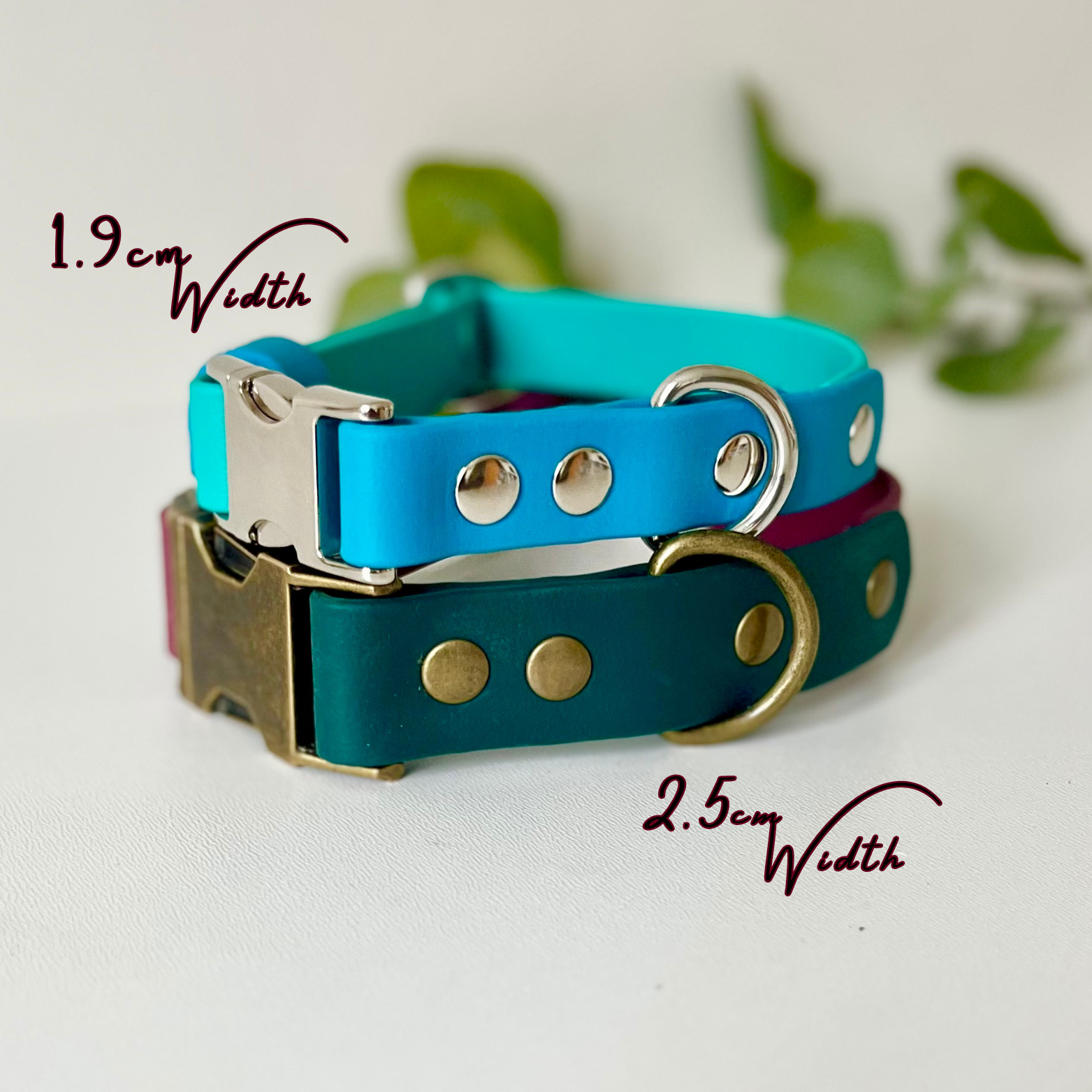 Two side release dog collars with different colours and hardware on a light background
