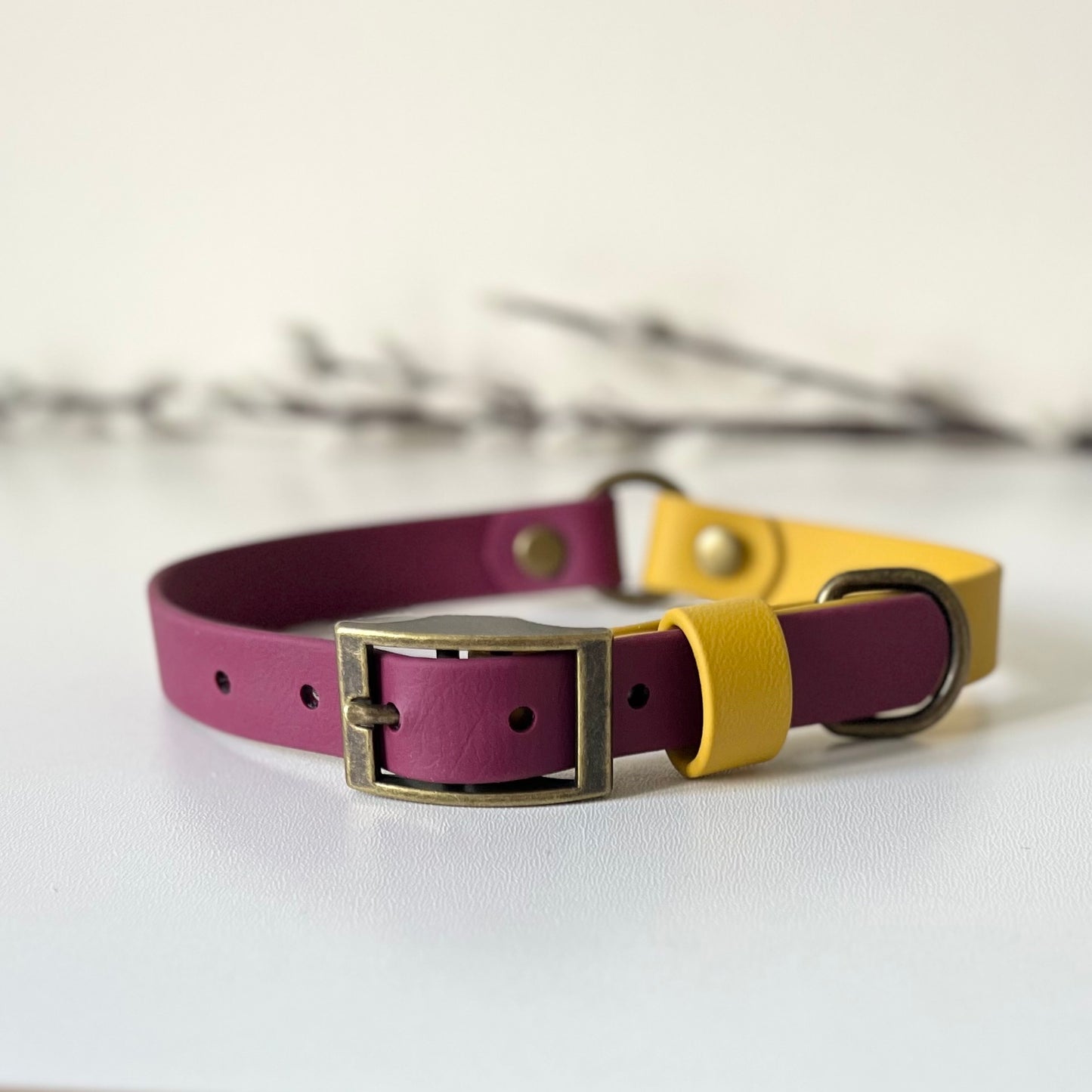 two tone biothane dog collar in wind red & mustard colour with antique brass hardware. sitting on a white surface