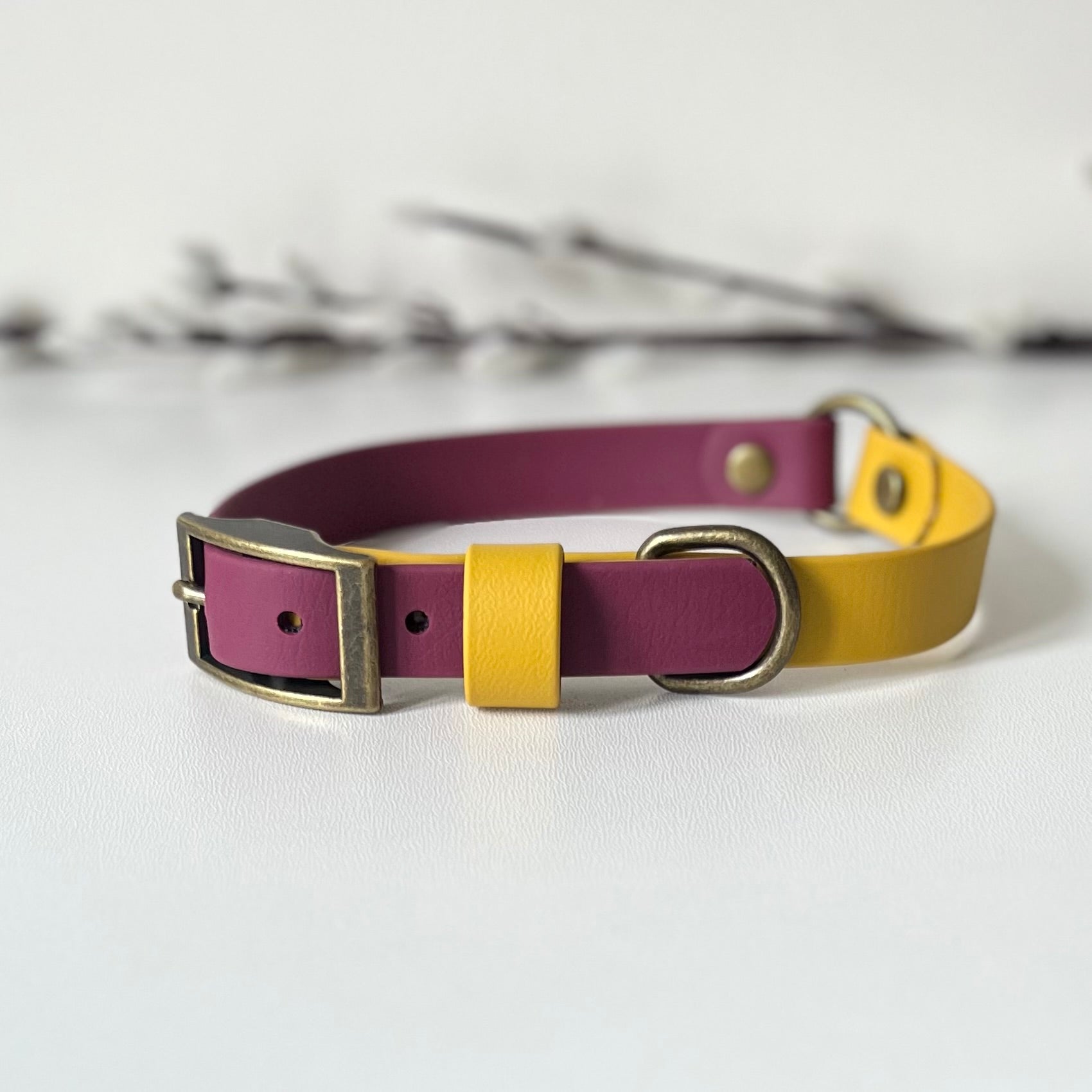 two tone biothane dog collar in wind red & mustard colour with antique brass hardware. sitting on a white surface with twigs in background