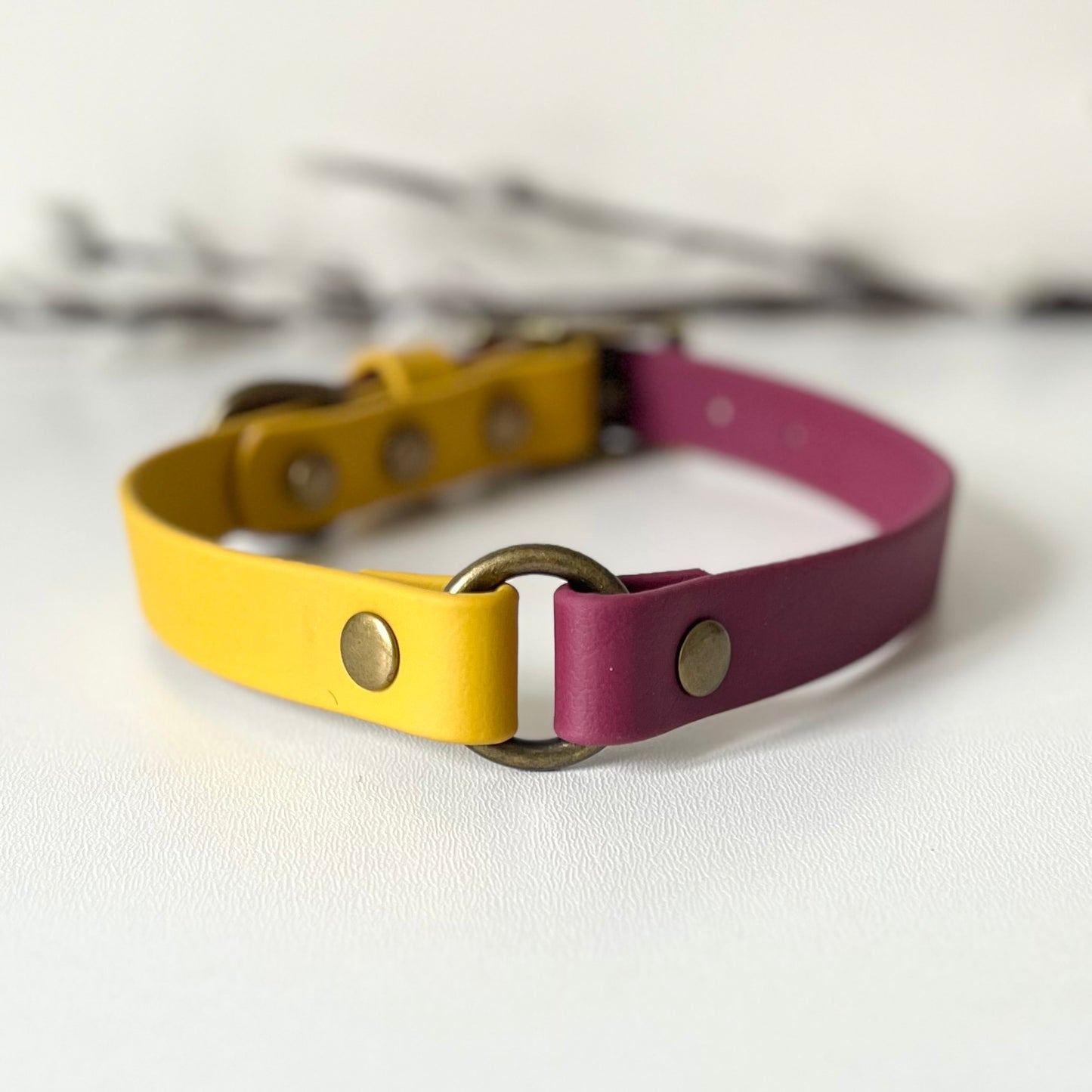 two tone biothane dog collar in wind red & mustard colour with antique brass hardware. detailing an o-ring connecting two colours. sitting on a white surface