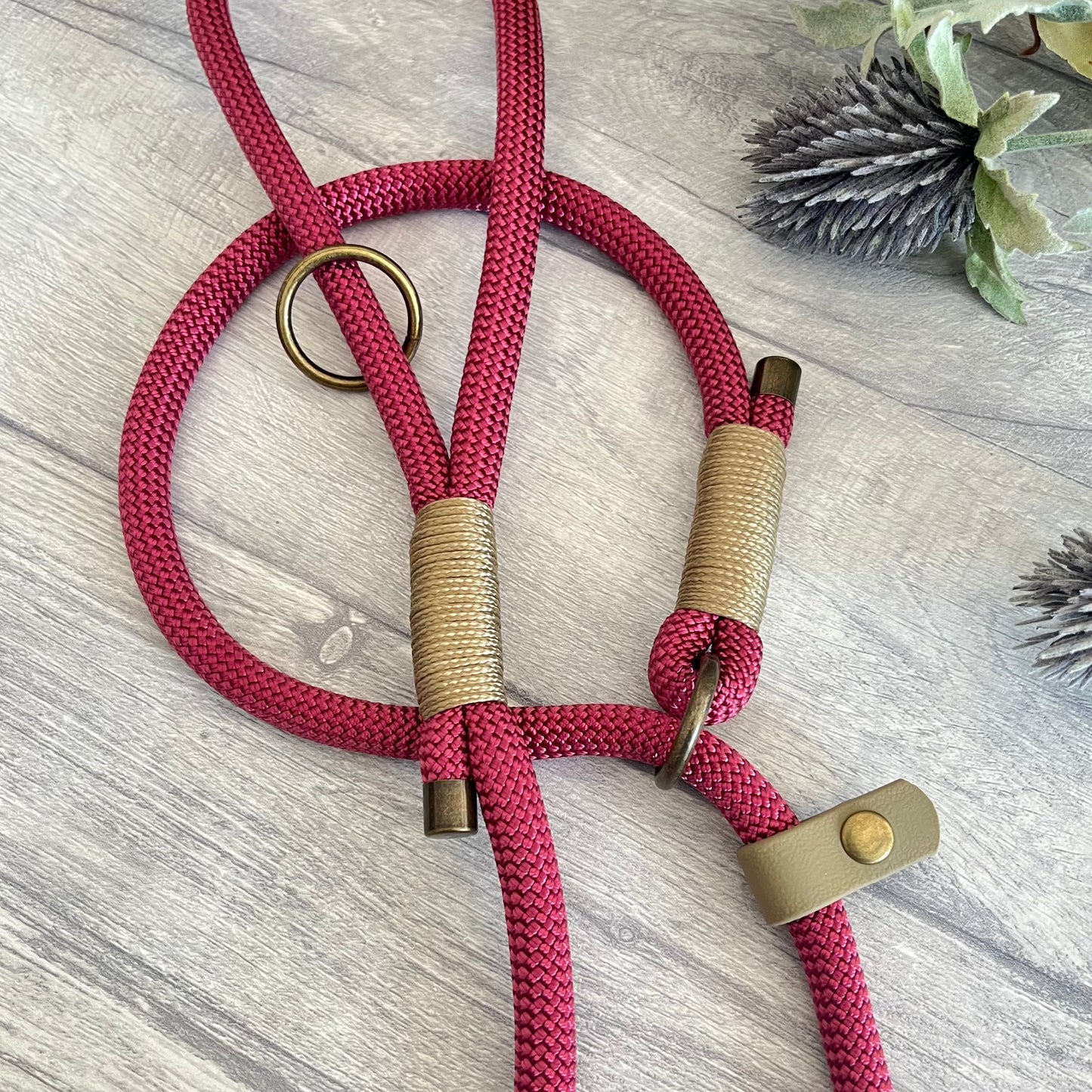 Viva La Vino Red Paracord Rope Dog Lead