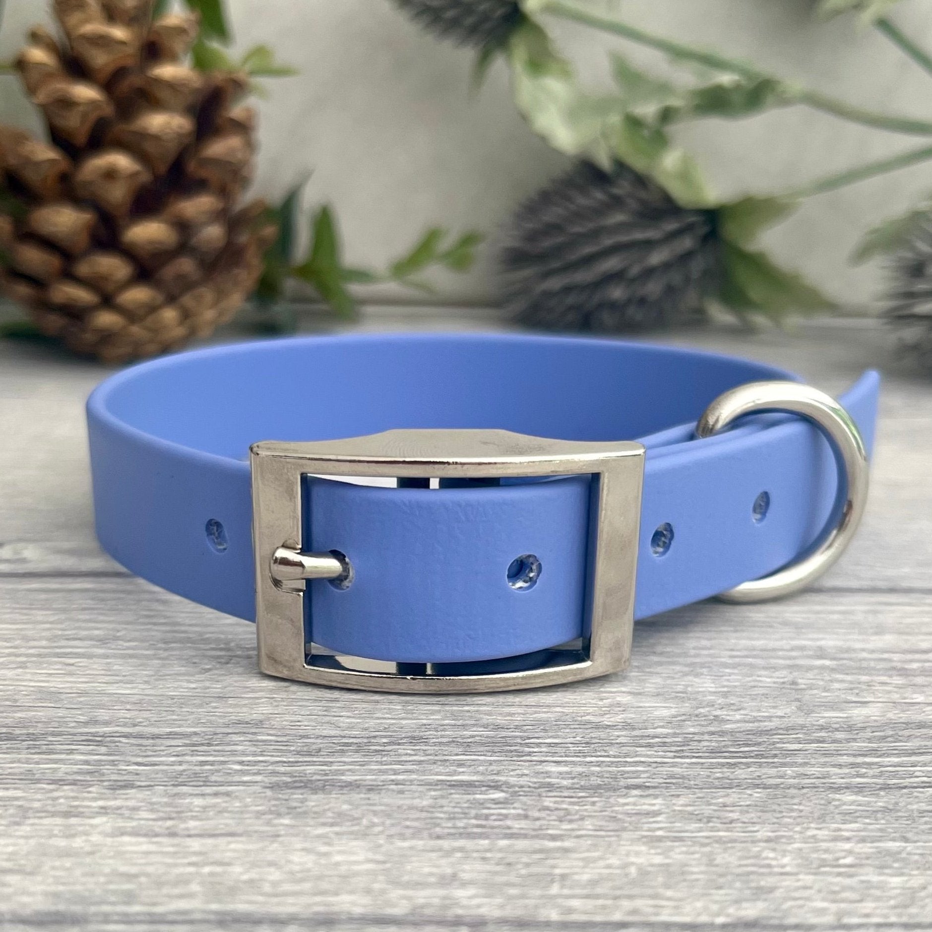 periwinkle dog collar with silver