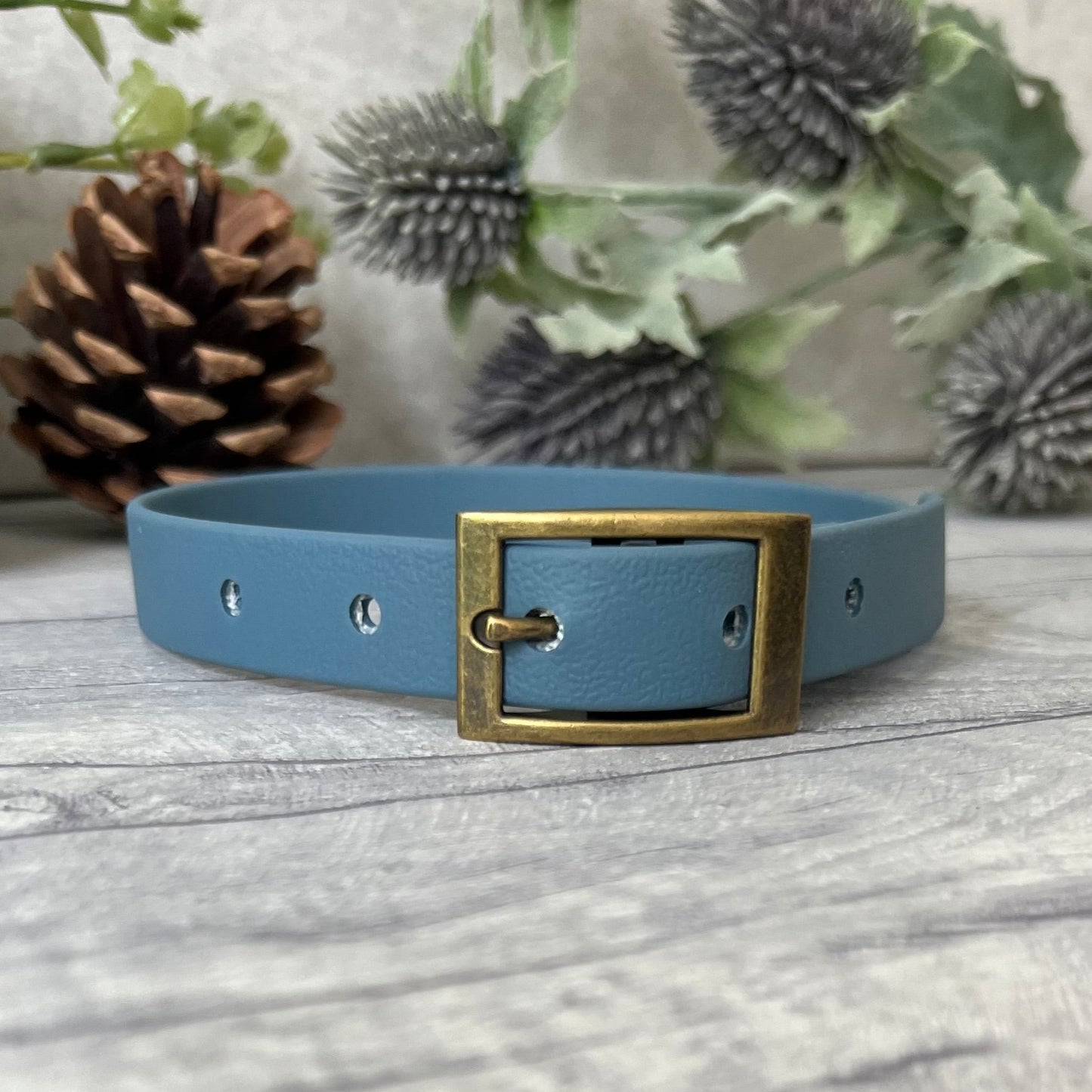 Petrol Blue Biothane dog collar with Antique Brass hardware. The collar is fastened with a buckle and has a d-ring. There are 5 punched holes spaced 2cm apart.