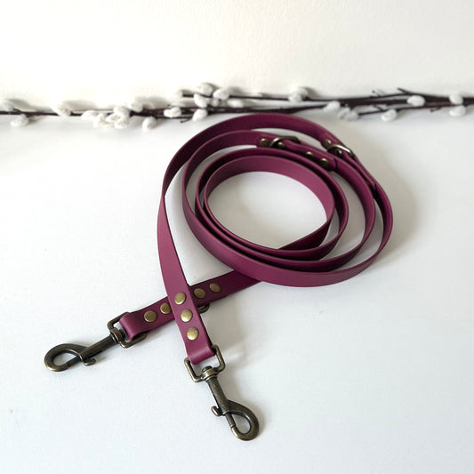 Double Ended, Multi Way Training Leads