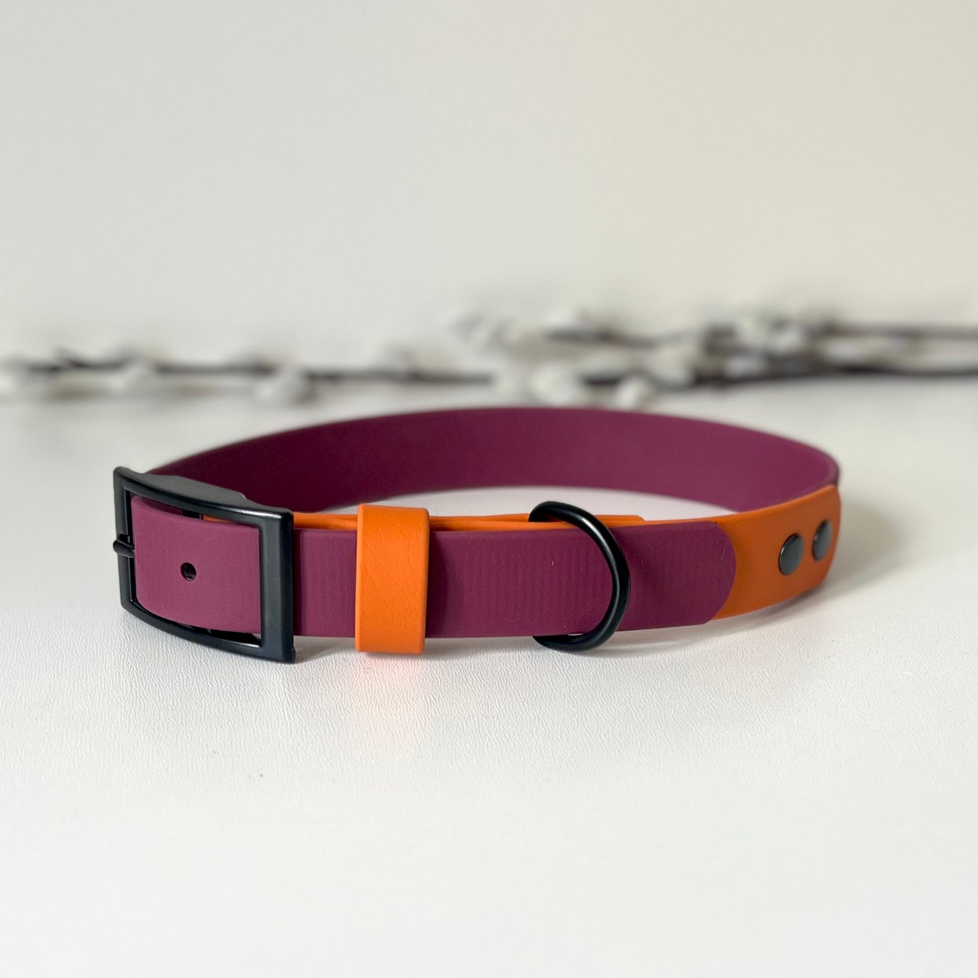 Wine Red and Orange two tone biothane dog collar with black hardware