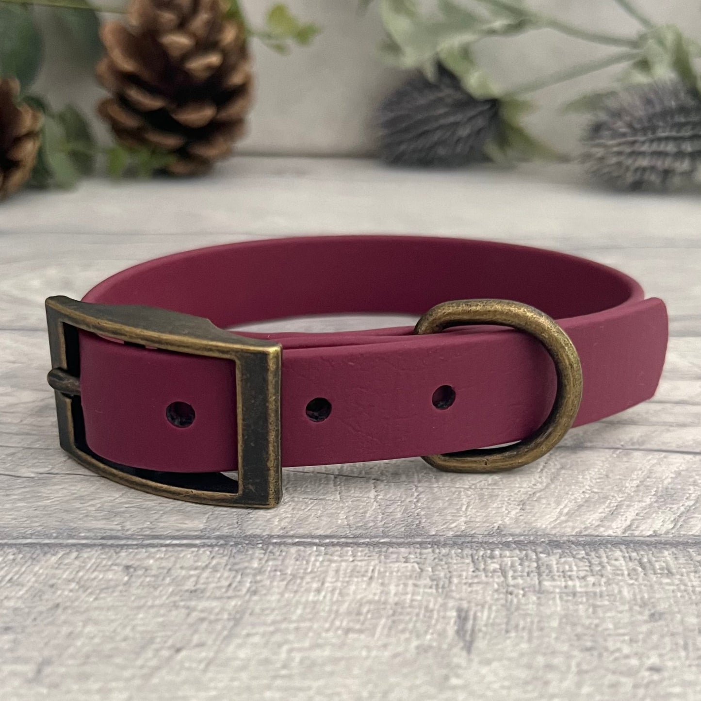 Wine Red Biothane dog collar with Antique Brass hardware. The collar is fastened with a buckle and has a d-ring. There are 5 punched holes spaced 2cm apart.