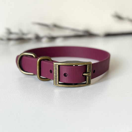 A wine red Biothane dog collar with antique brass hardware sitting on a white surface