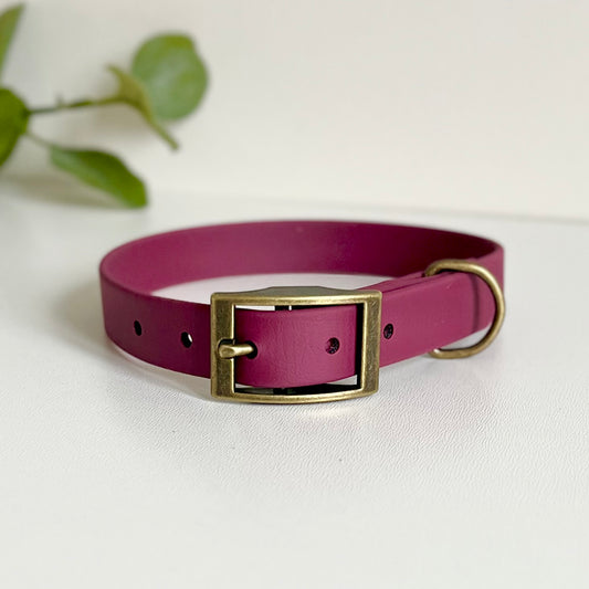 Wine red dog collar with a antique brass buckle on a white background