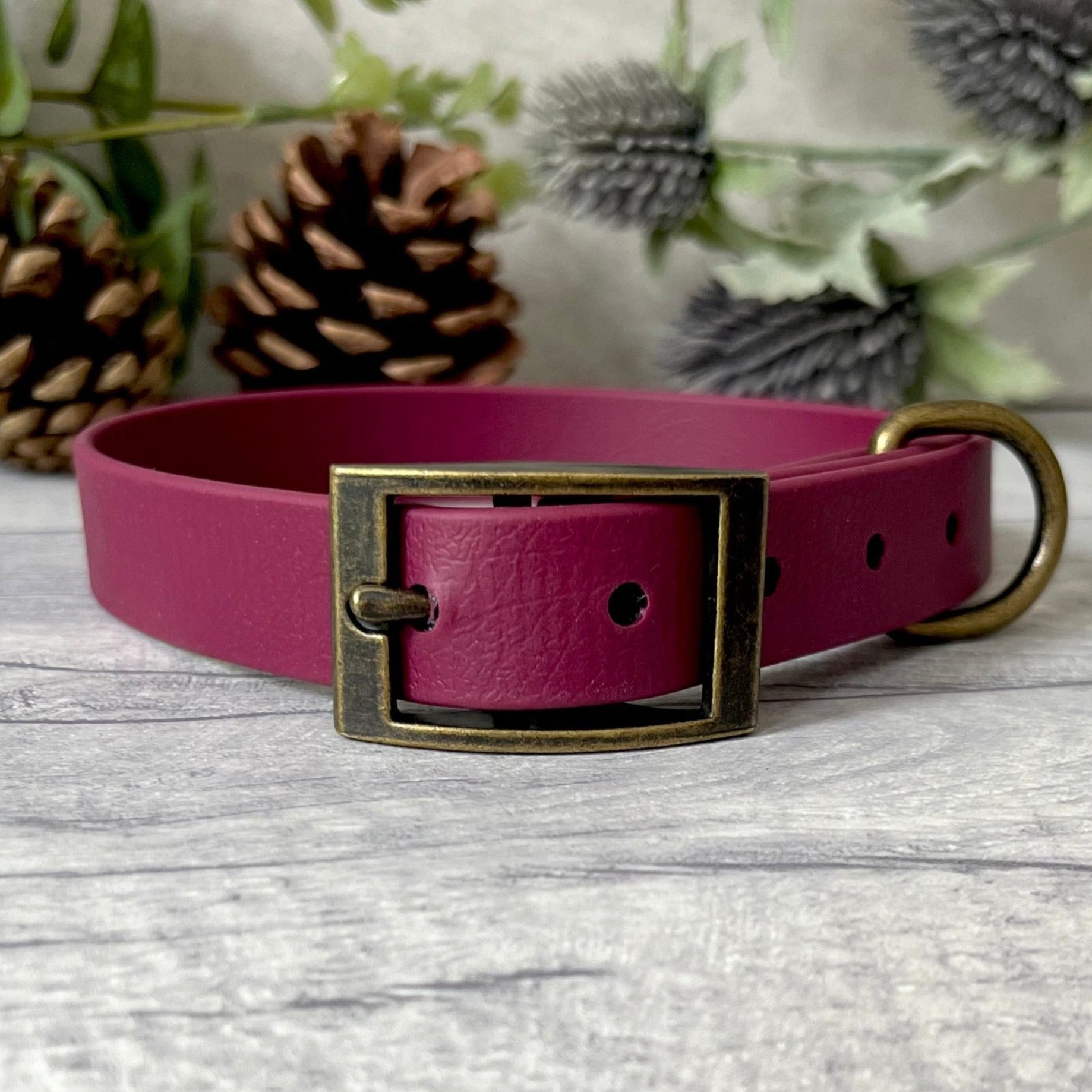 Wine Red Biothane dog collar with Antique Brass hardware. The collar is fastened with a buckle and has a d-ring. There are 5 punched holes spaced 2cm apart.