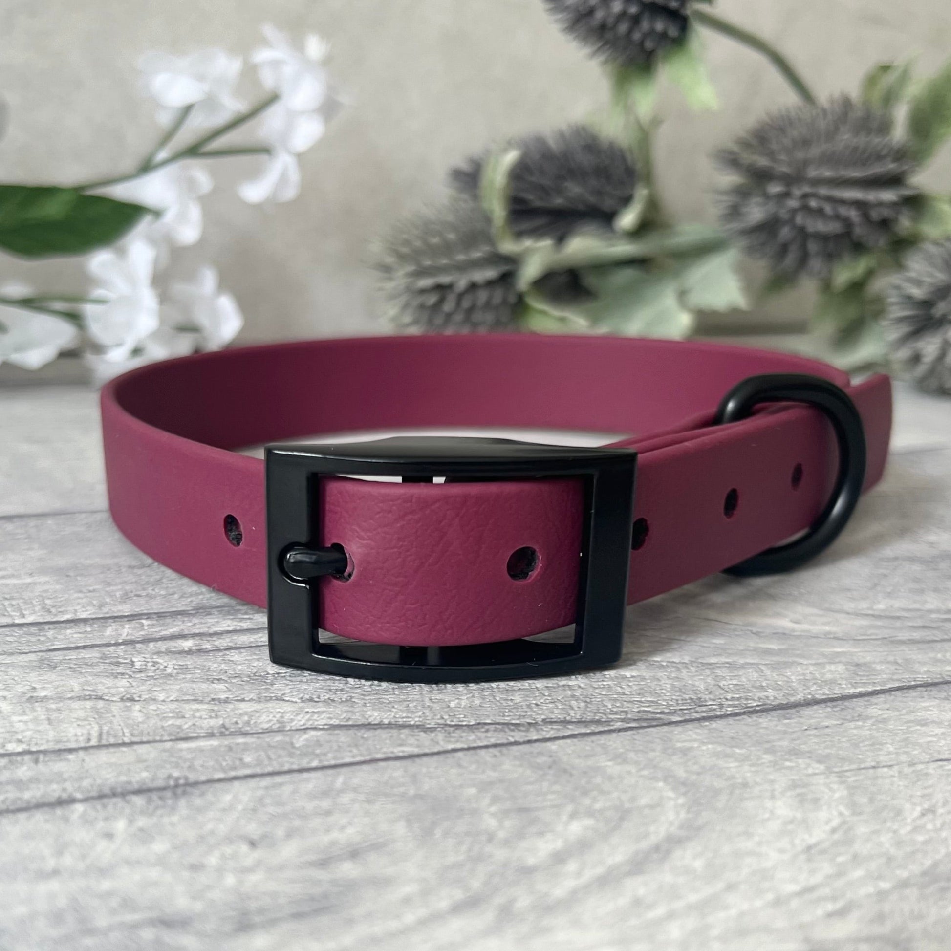 Wine Red Biothane dog collar with Black hardware. The collar is fastened with a buckle and has a d-ring. There are 5 punched holes spaced 2cm apart.