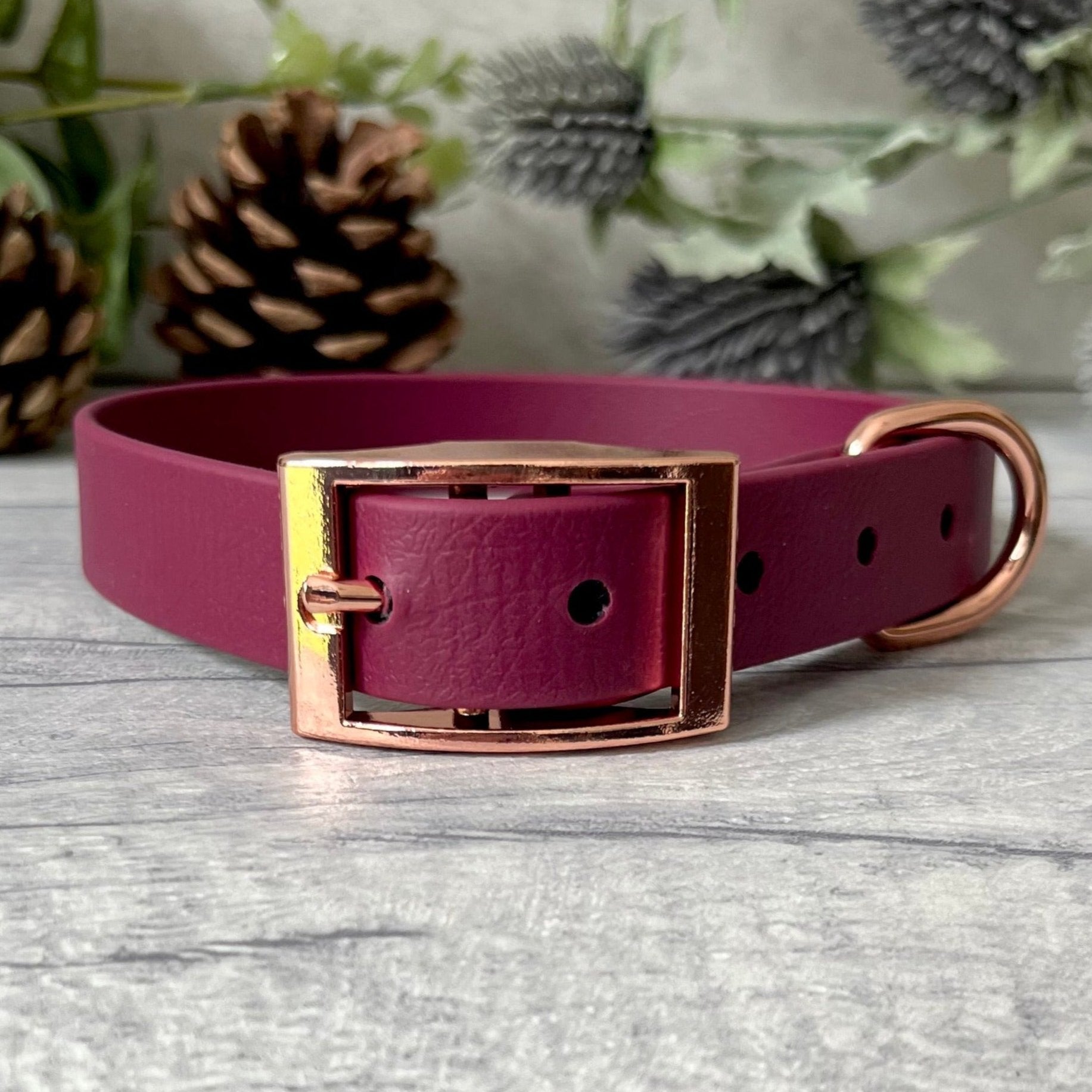 Wine Red Biothane dog collar with Rose Gold hardware. The collar is fastened with a buckle and has a d-ring. There are 5 punched holes spaced 2cm apart.