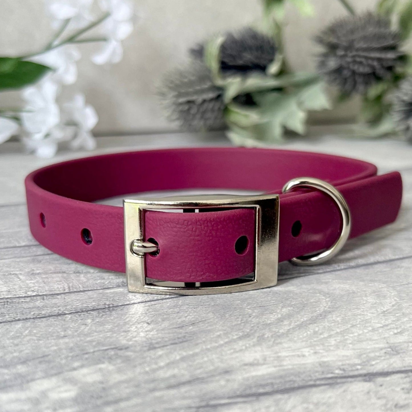 Wine Red Biothane dog collar with Silver hardware. The collar is fastened with a buckle and has a d-ring. There are 5 punched holes spaced 2cm apart.