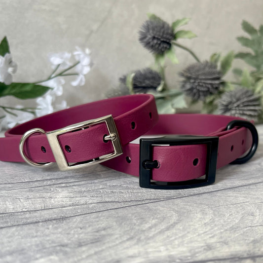 Two Wine Red Biothane dog collars with Silver and Black hardware. The collar is fastened with a buckle and has a d-ring. There are 5 punched holes spaced 2cm apart.