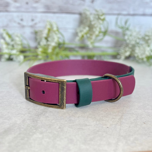 Wine Red & Green BioThane® Dog Collar