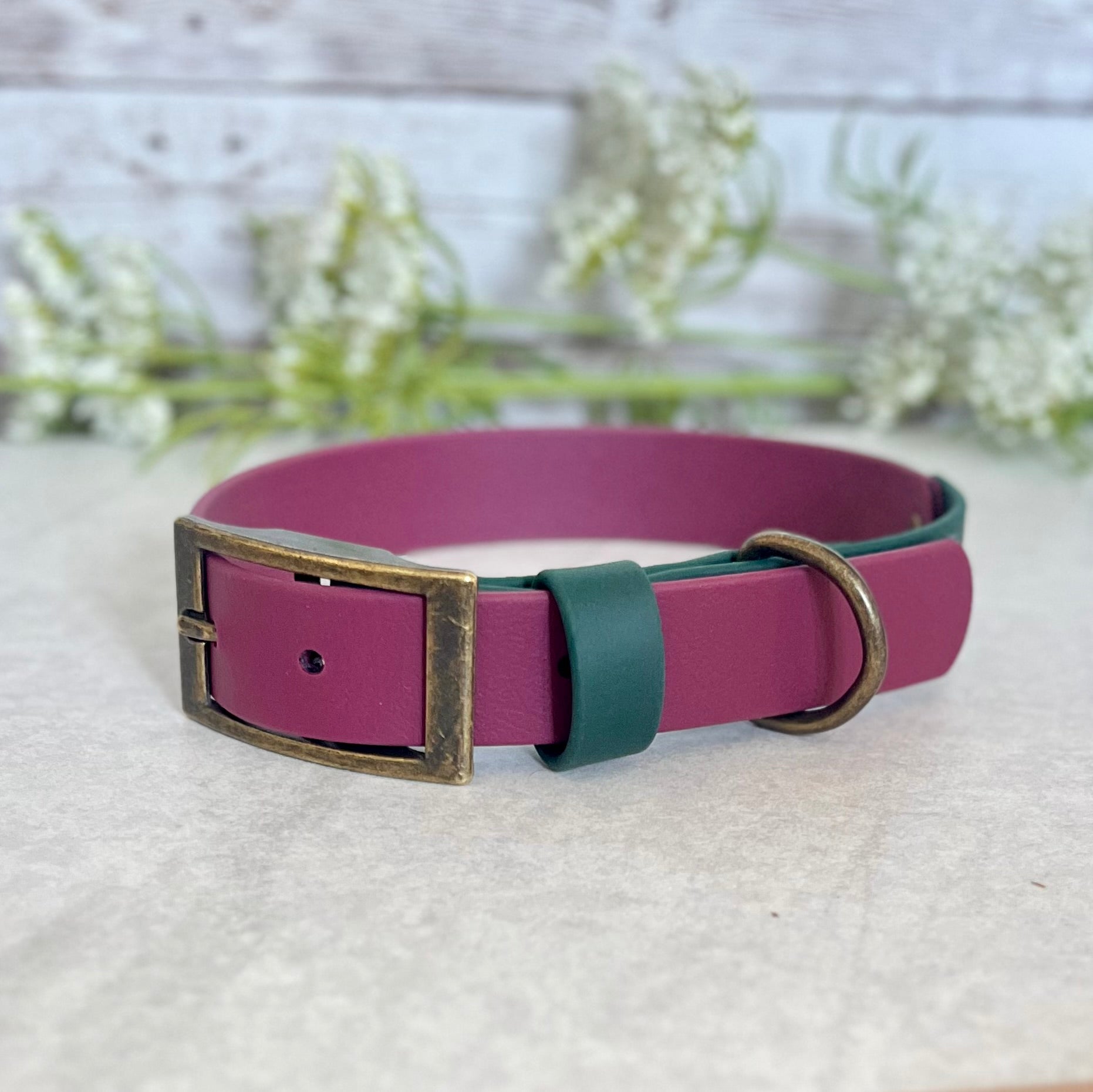 wine red dog collar with a green strap and brass buckle on a light surface with blurred flowers in the background.