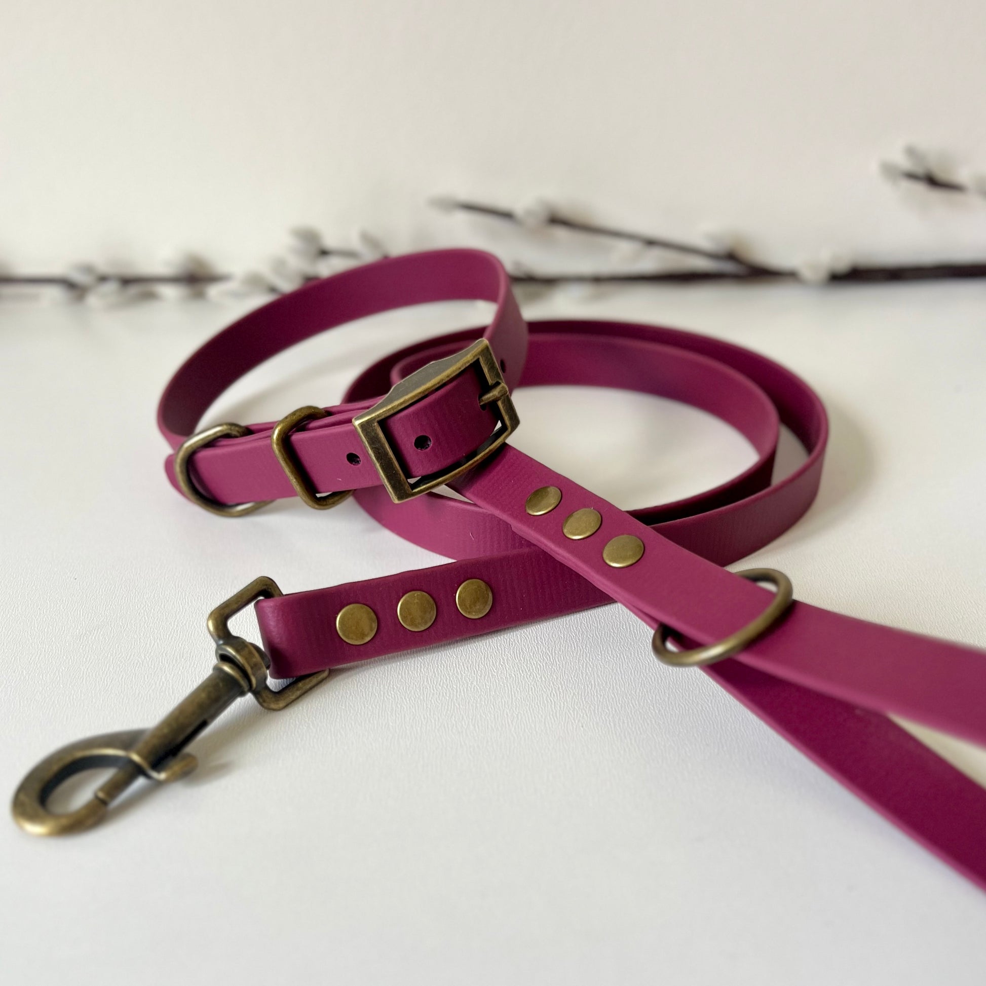wine red biothane collar and lead with antique brass hardware