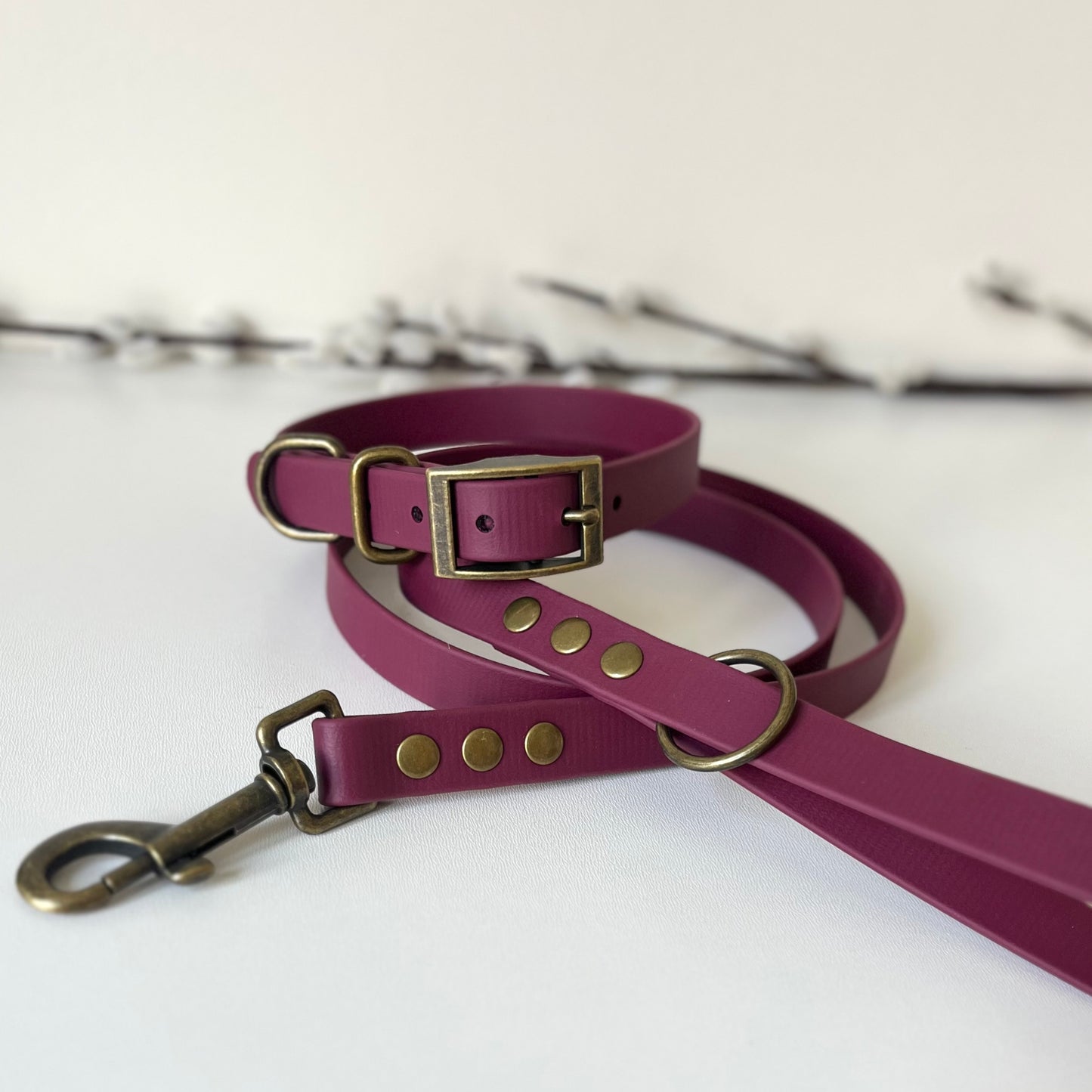 wine red biothane collar and lead with antique brass hardware sitting on a white surface