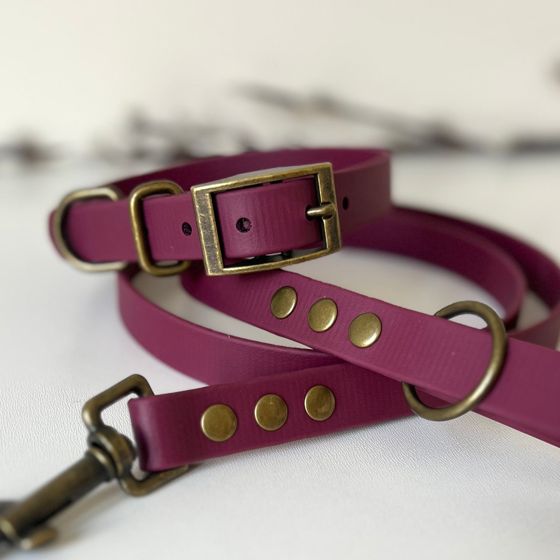 wine red biothane collar & lead with antique brass hardware