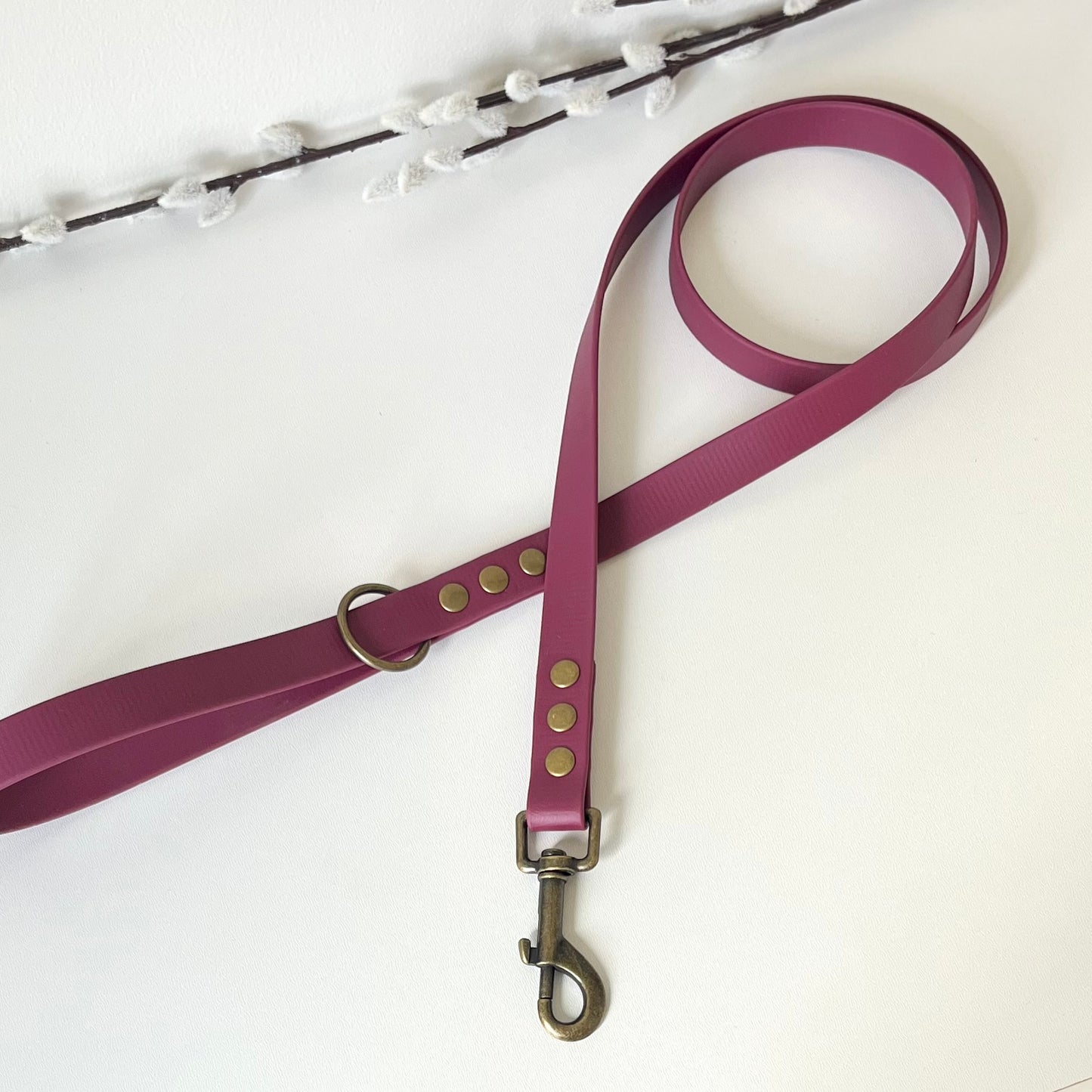 wine red biothane dog lead with antique brass hardware