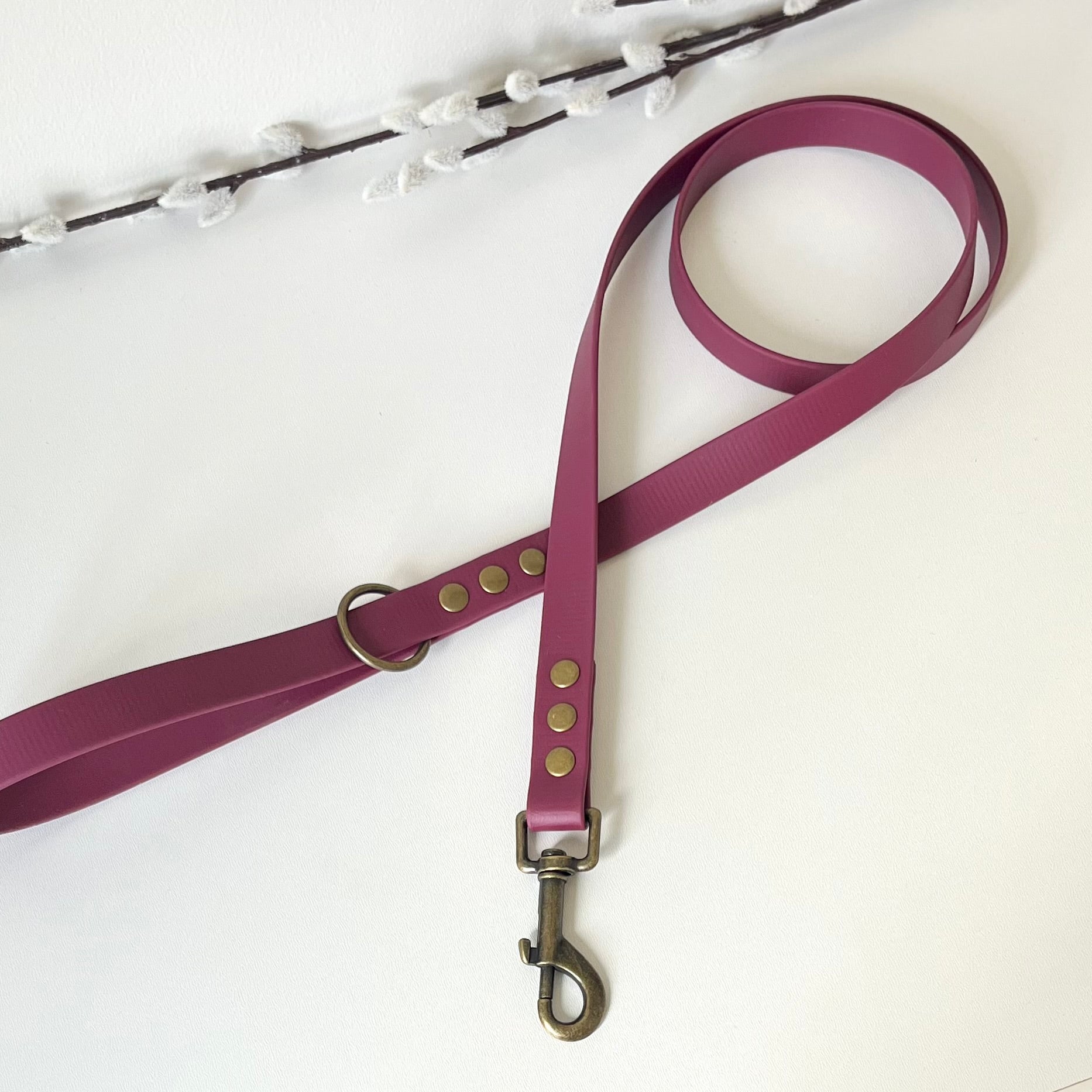 wine red biothane dog lead with antique brass hardware
