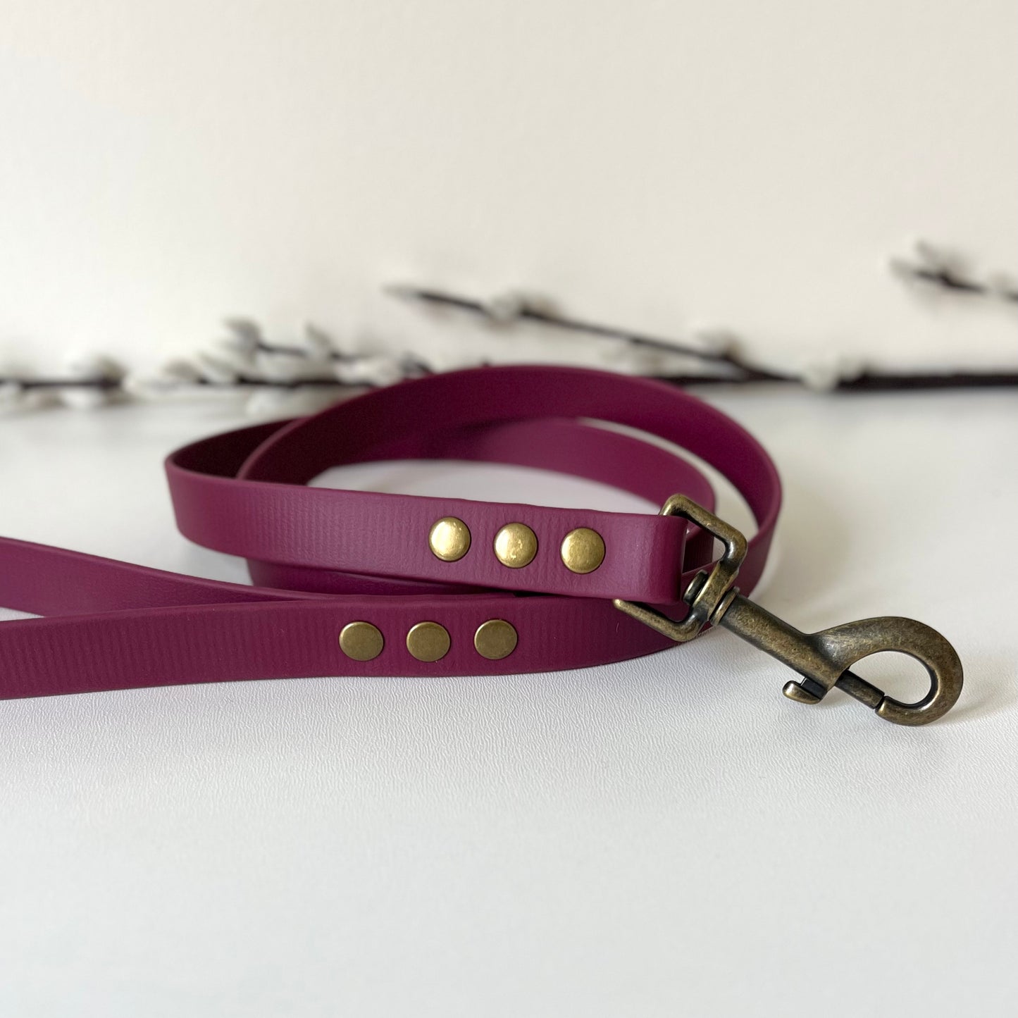 wine red biothane collar and lead with antique brass hardware sitting on a white surface