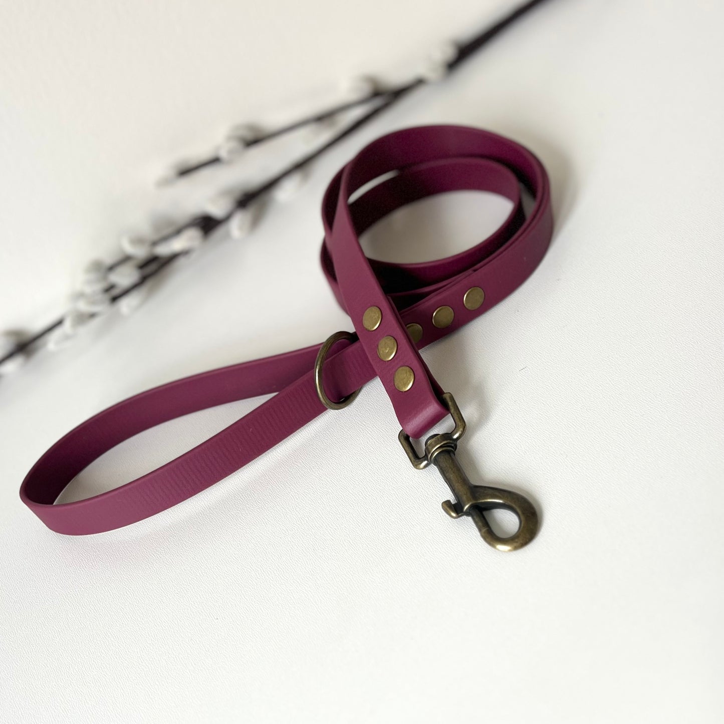 wine red biothane dog lead with antique brass hardware sitting on a light surface
