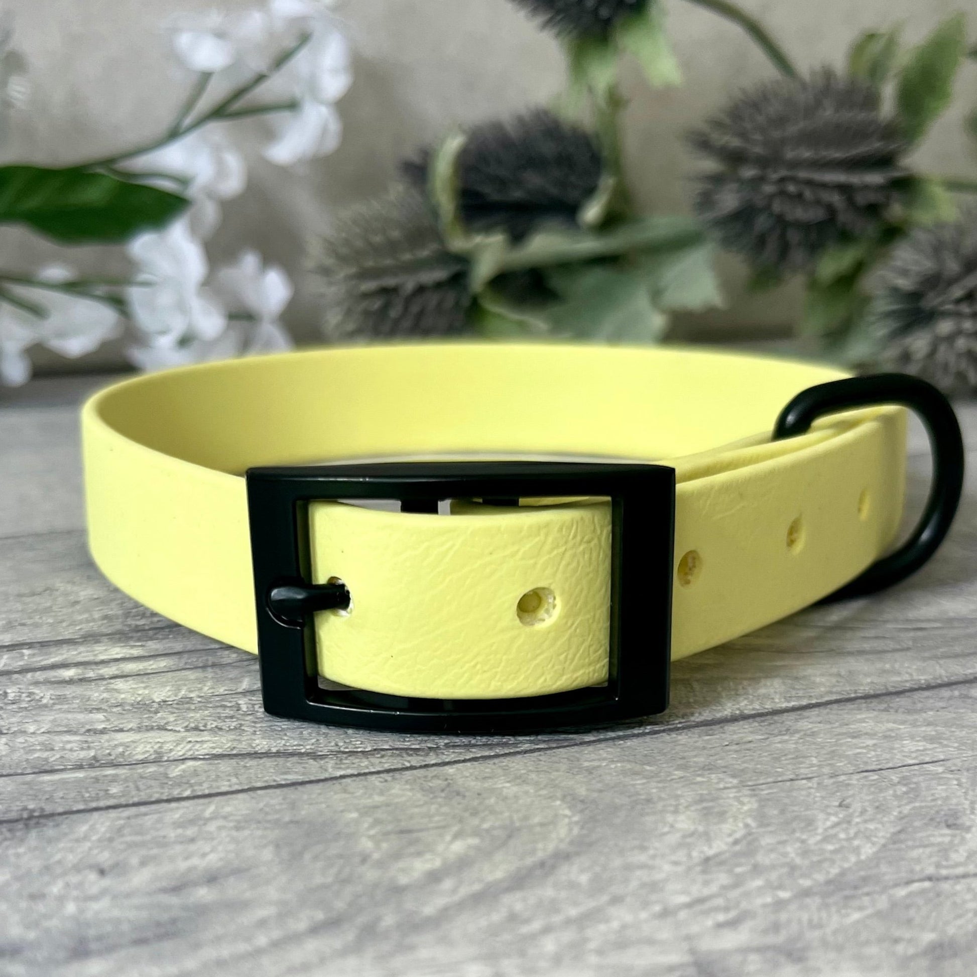 Biothane custom collar in Yellow with Black buckle and a D-ring. The collar has 5 holes which are spaced 2cm apart. Soft leather appearance