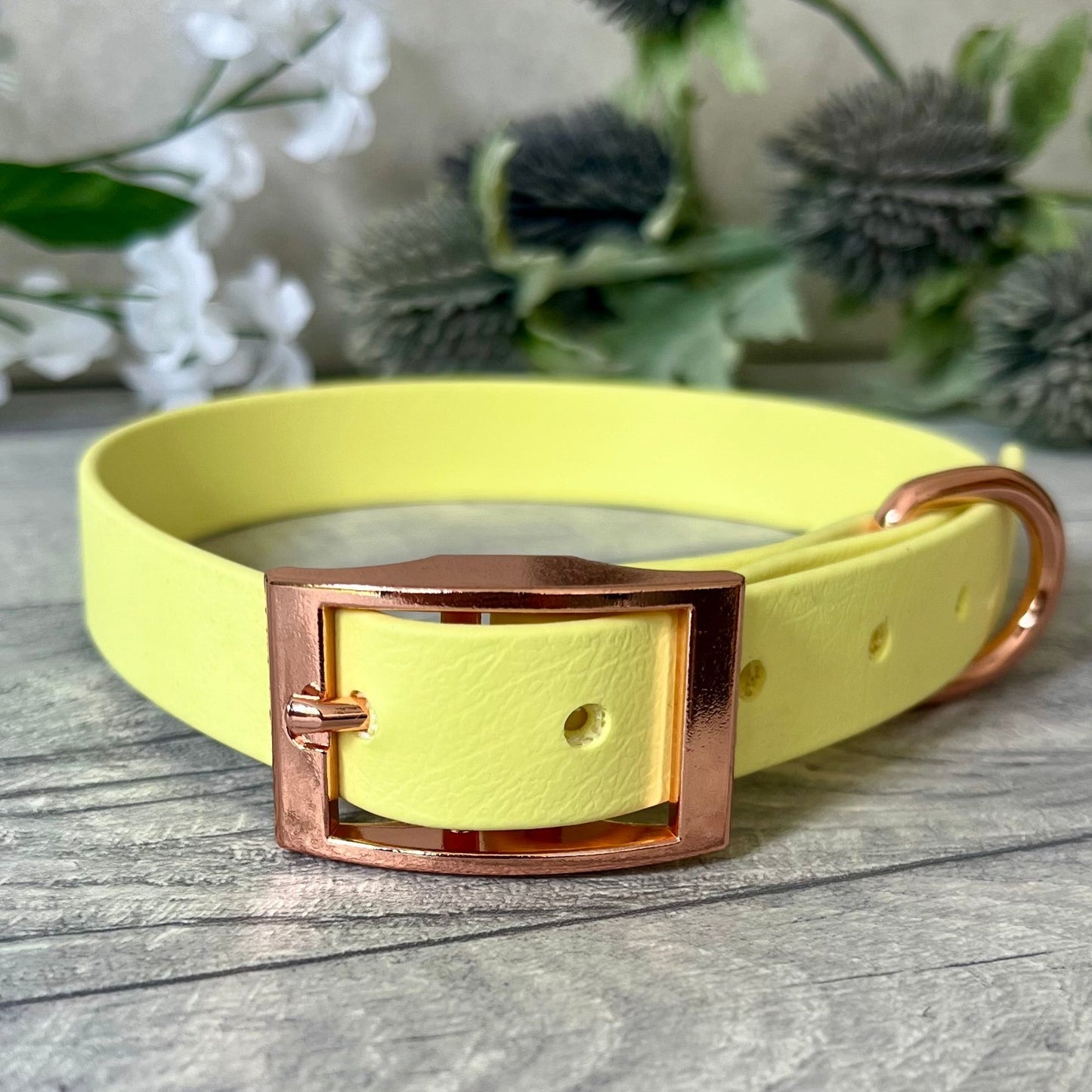 Biothane custom collar in Yellow with Rose Gold buckle and a D-ring. The collar has 5 holes which are spaced 2cm apart. Soft leather appearance