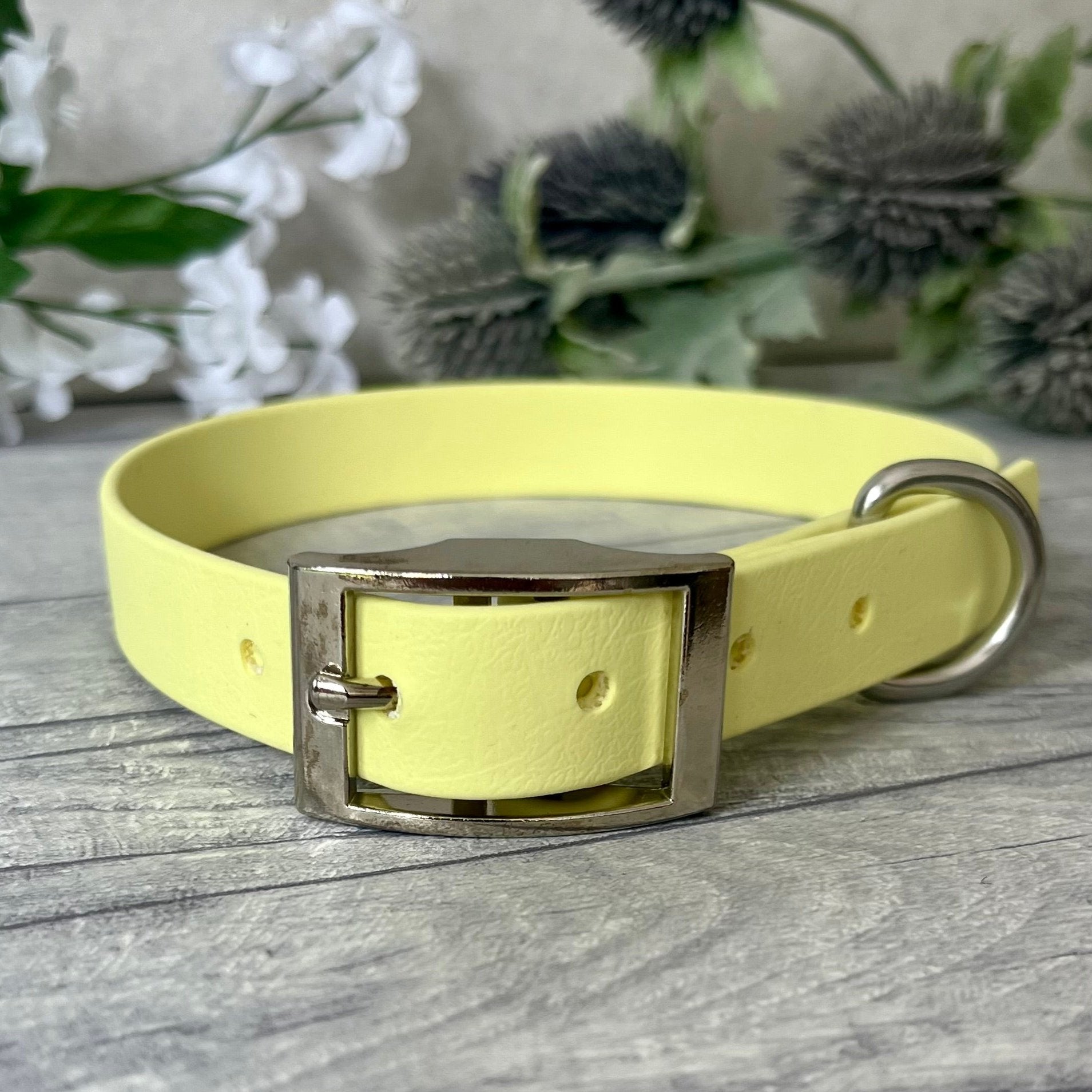 Biothane custom collar in Yellow with Silver buckle and a D-ring. The collar has 5 holes which are spaced 2cm apart. Soft leather appearance