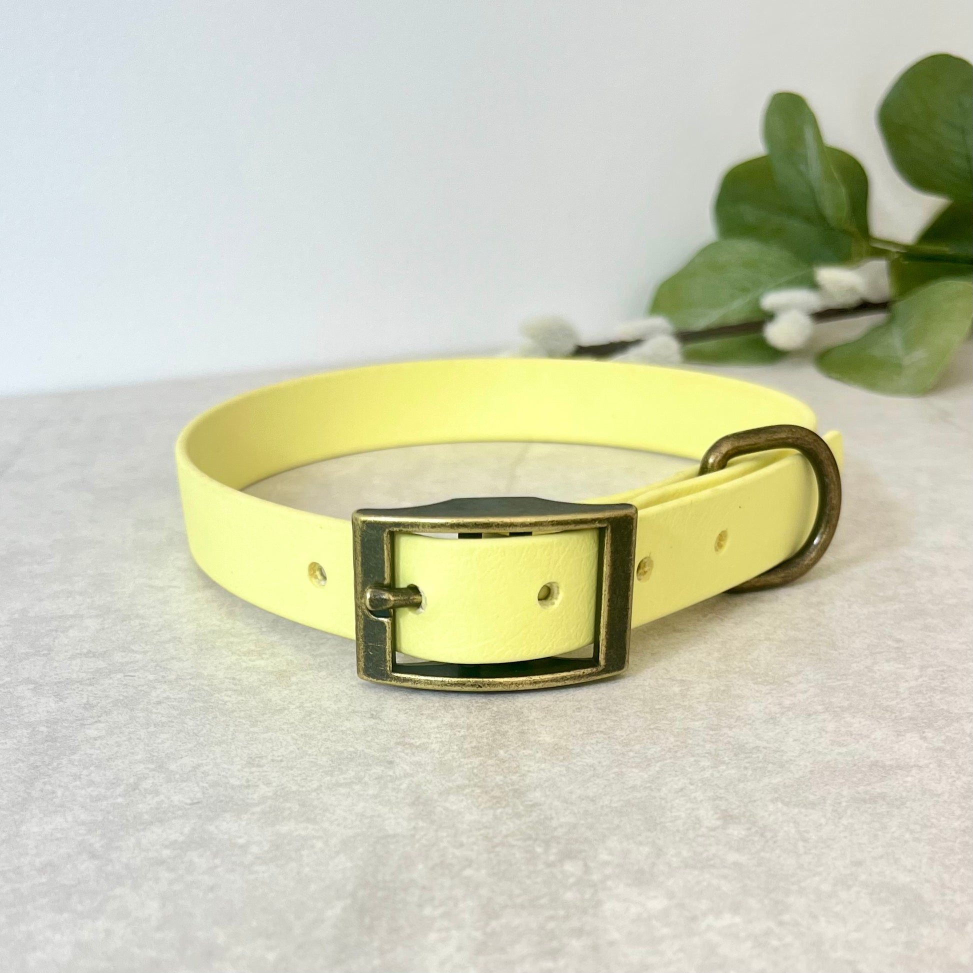 Biothane custom collar in Yellow with Antique Brass buckle and a D-ring. The collar has 5 holes which are spaced 2cm apart. Soft leather appearance