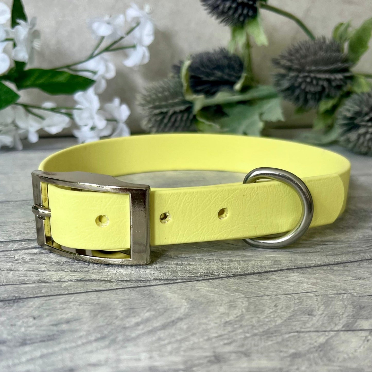 Biothane custom collar in Yellow with Silver buckle and a D-ring. The collar has 5 holes which are spaced 2cm apart. Soft leather appearance